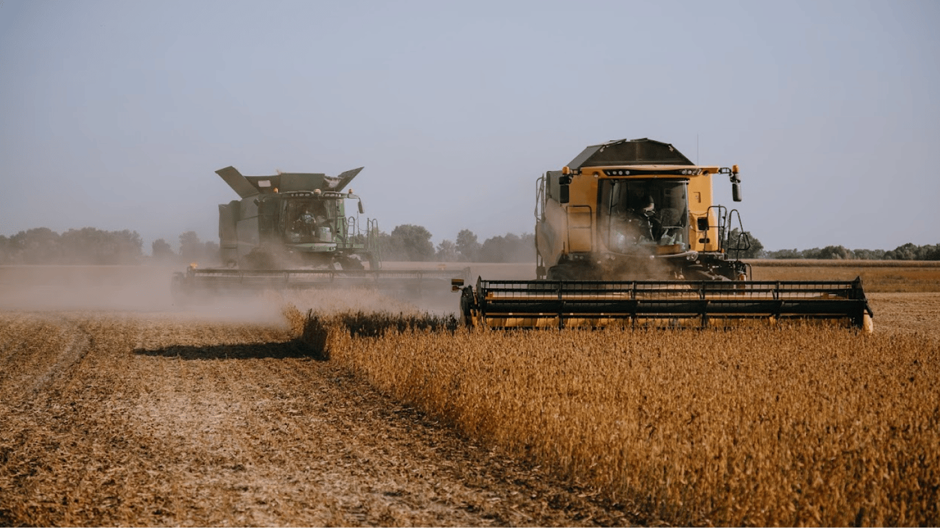 Цены на зерновые в Украине по состоянию на 2 февраля 2024 года.