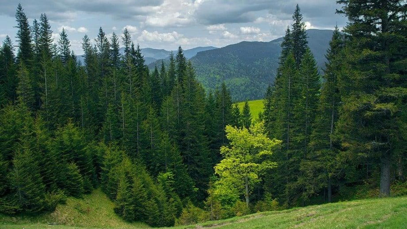 На Миколаївщині державі повернули 170 гектарів землі