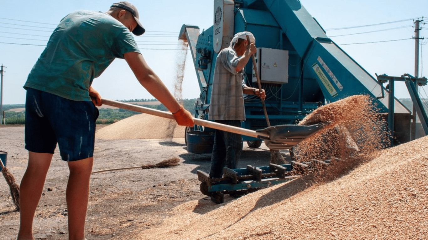 У Конгресі США розповіли, скільки українського зерна вкрала РФ за 2022 рік