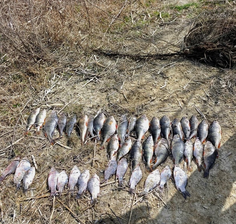 На Одещині знову затримали браконьєра — завдав великих збитків - фото 2