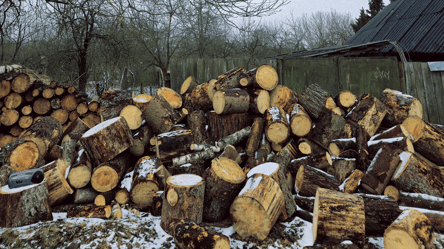 Отопление дровами — как хранить топливо при сильных морозах - 285x160