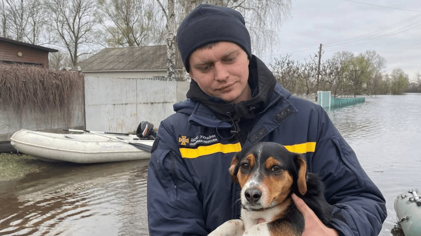 "Помогаем всем 24/7": на Черниговщине ГСЧС спасла собаку