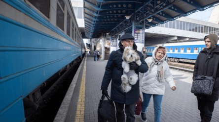 В потязі Київ-Варшава на пасажирку впала полиця — що кажуть в УЗ - 285x160