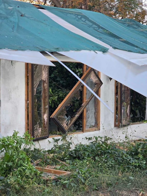 Дрони РФ пошкодили унікальні рослини в Одесі — потрібна допомога - фото 2