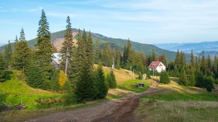 Украинец рассказал, за сколько купил и отремонтировал дом в Карпатах - 290x160