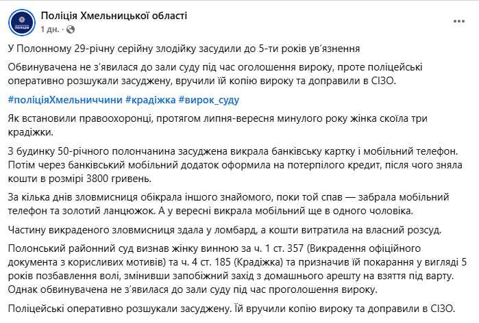 Вкрала картку й оформила кредит — як суд покарав серійну злодійку - фото 2