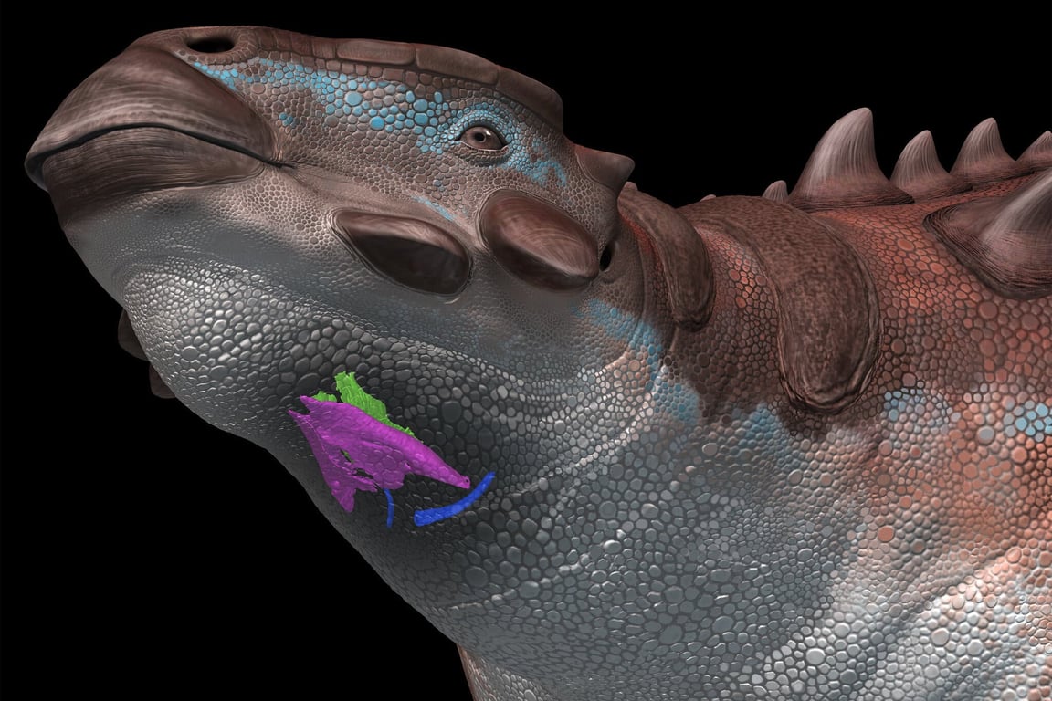 Які звуки могли видавати динозаври