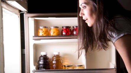Как уменьшить счета за свет с помощью холодильника — шесть простых советов - 285x160