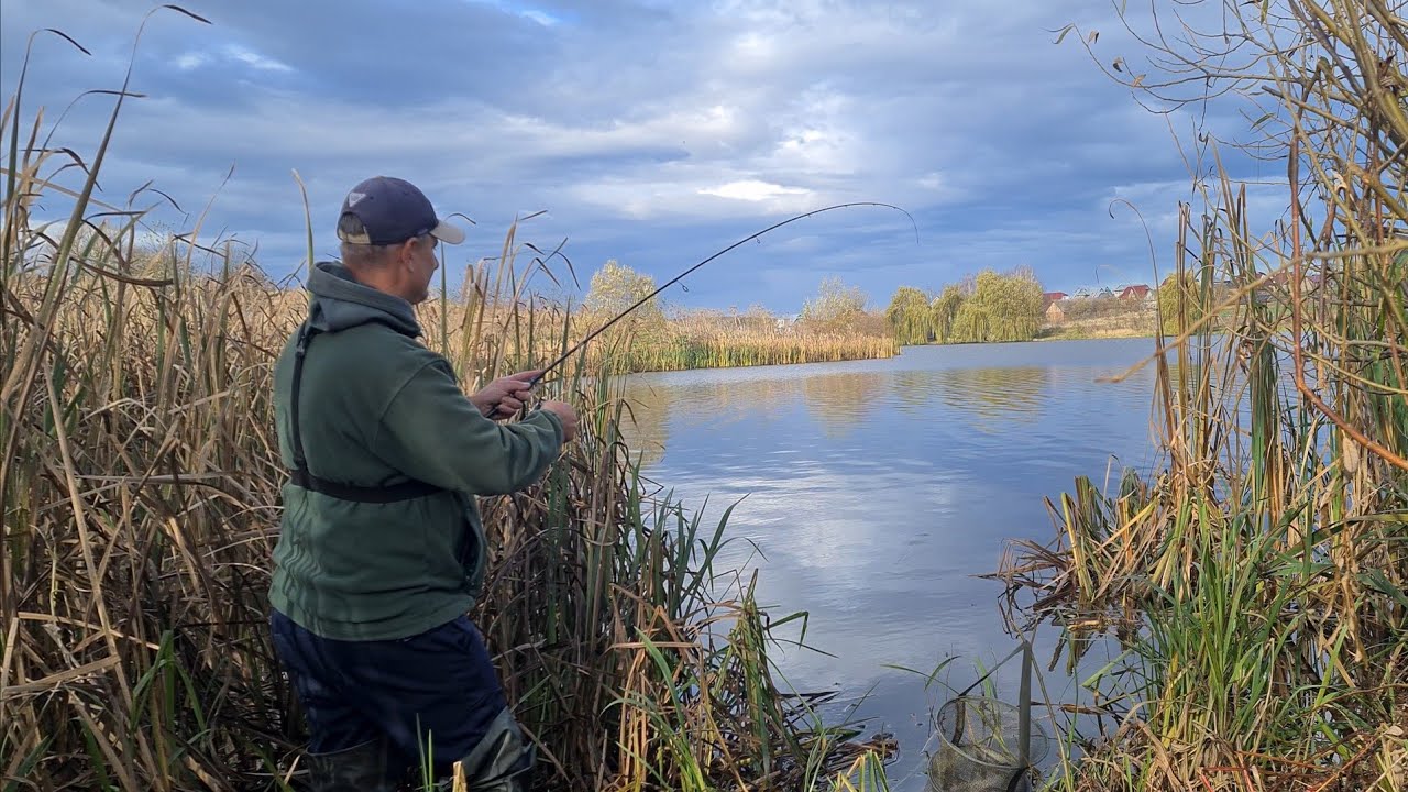 Місячний календар рибалки на листопад 2024 — коли сприятливі та несприятливі дні