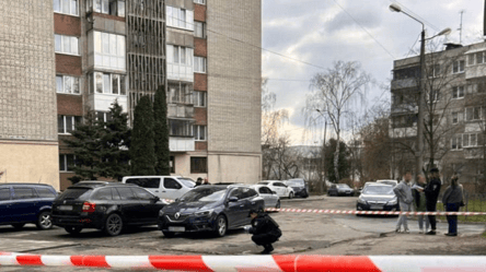 Во Львове задержали нападавшего, который убил работника ТЦК - 290x166