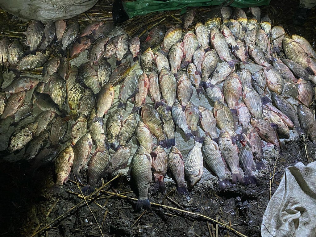 В одеській області браконьєри завдали великої шкоди - фото 1