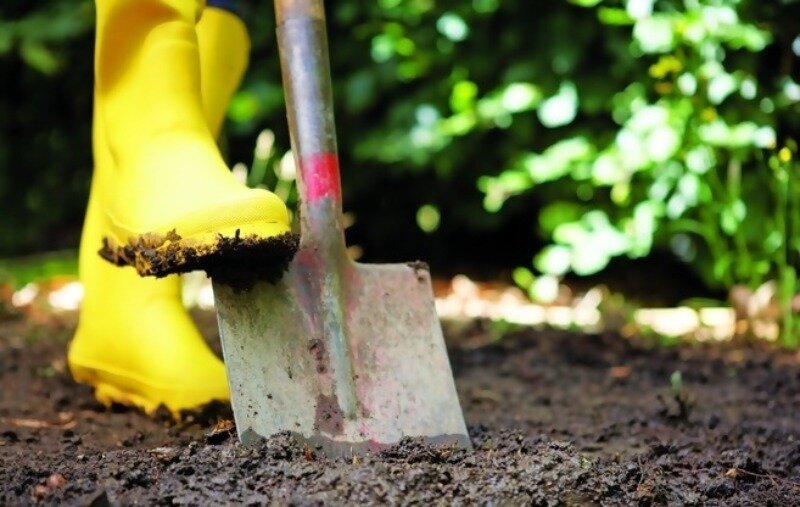 Процесс перекапывания огорода