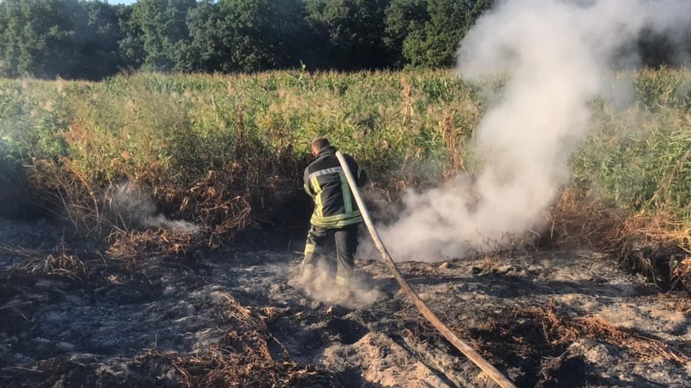 В Буче сильно горят торфяные месторождения: жителей призывали не паниковать