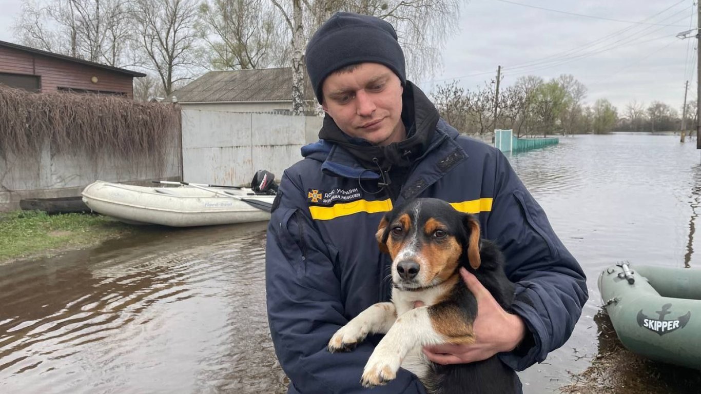 Повінь в Україні: ДСНС повідомила про ситуацію в підтоплених регіонах