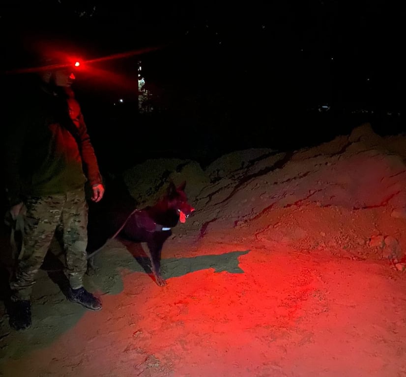 пошуки дитини у Кам'янському