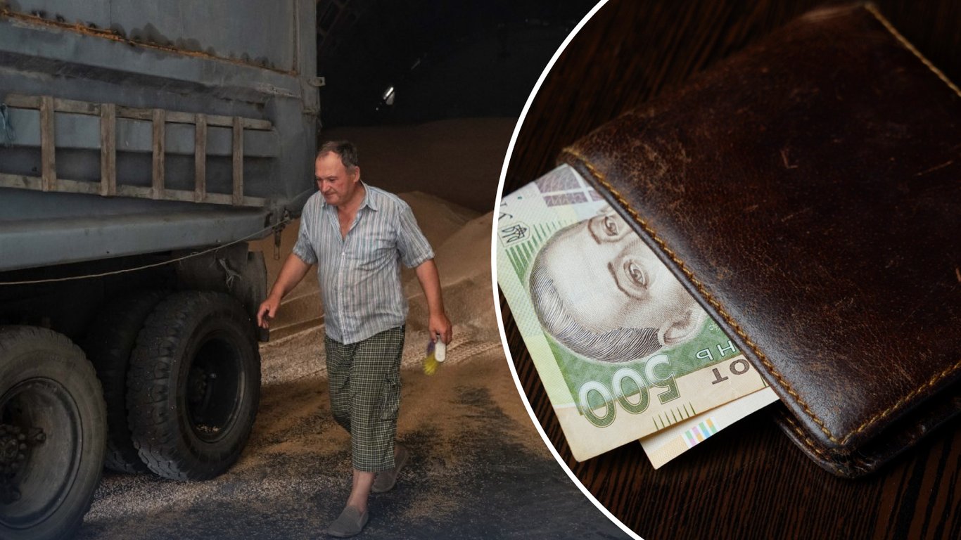 Ціни на зерно в Україні: на скільки подорожчала пшениця