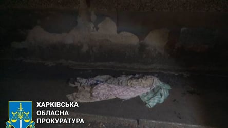В Харькове будут судить мужчину, который запечатлел совершенное им убийство - 285x160