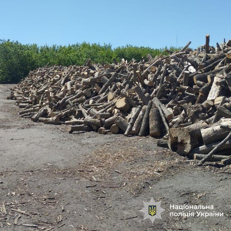 Службовці та бізнесмени в епіцентрі корупційного скандалу на закупівлях для ЗСУ
