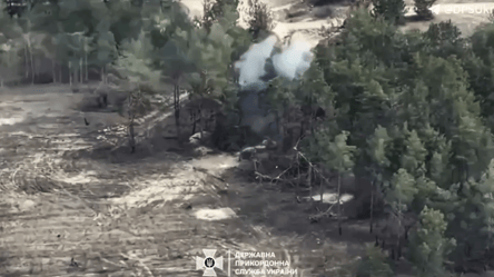 Українські прикордонники знищили ворожу російську гаубицю — відео - 285x160