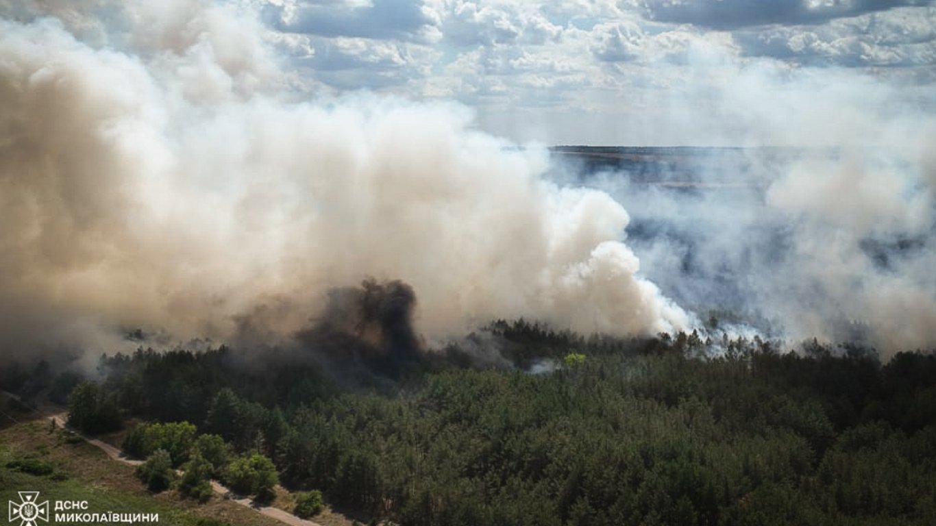 У заповіднику на Миколаївщині горить ліс: деталі від ДСНС