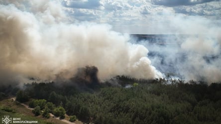 В Николаевской области горит более 30 гектаров леса — продолжается борьба с огнем - 290x166