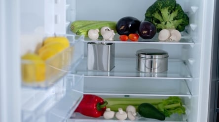Чим небезпечна пліснява на овочах у холодильнику - 285x160