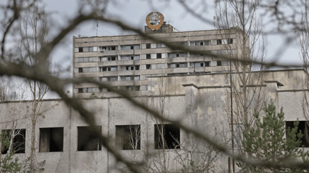 Фотоловушка в Чернобыле зафиксировала необычную птицу - 285x160