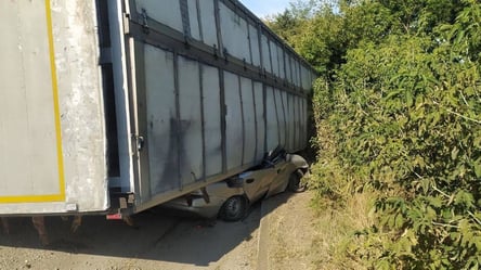 На Киевщине произошло смертельное ДТП: опрокинулся грузовик с животными - 285x160