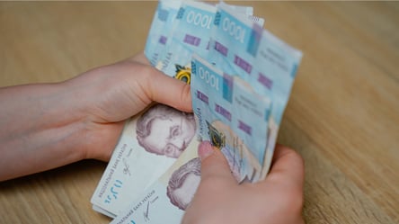 Гроші від держави — як встигнути оформити Пакунок школяра у Дії - 285x160