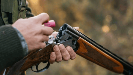 На Одещині відстрілюватимуть диких тварин — які причини - 290x166