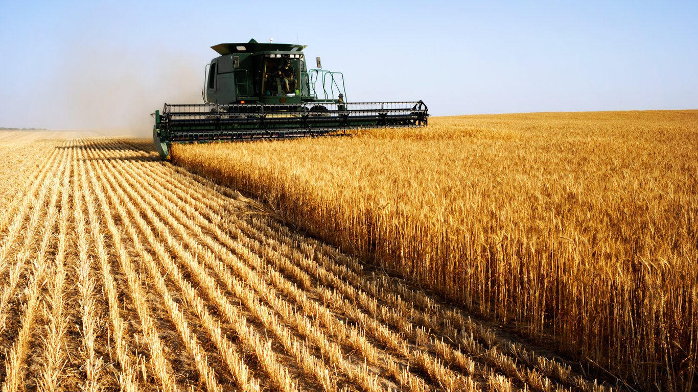 Цены на зерновые в Украине по состоянию на 3 января 2024 года