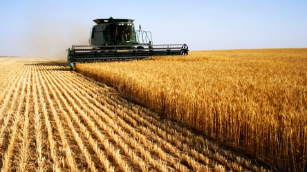 Ціни на зерно в Україні — скільки коштує ячмінь у січні - 285x160