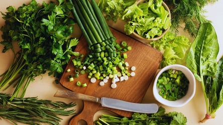 Як виростити зелень на підвіконні — простий спосіб - 285x160