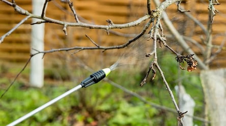 Обробіть сад до брунькування — це врятує врожай навесні - 285x160
