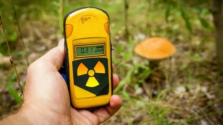 В МВС зробили заяву щодо рівня радіації в Запорізькій області - 285x160