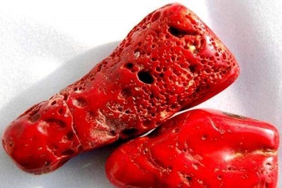 Коралл, который является талисманом именинника 17 апреля