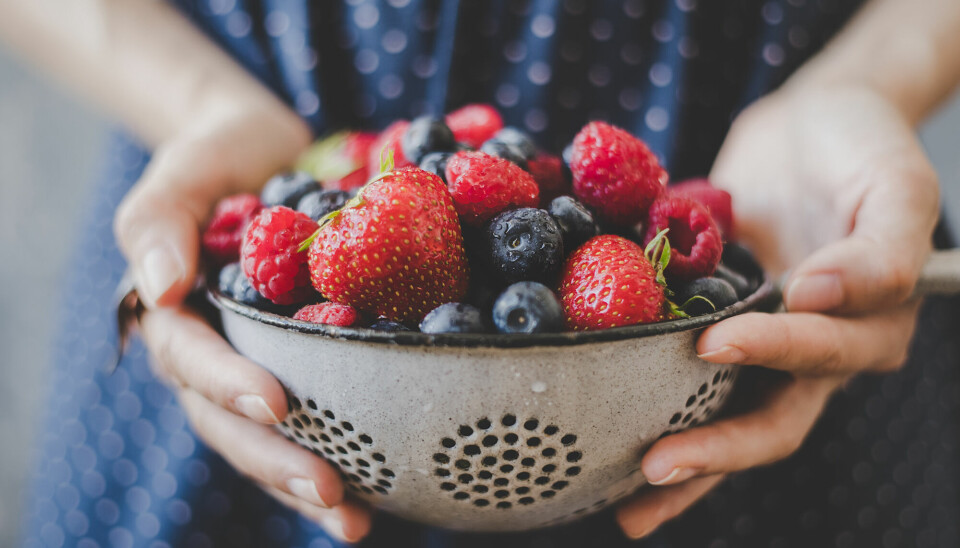 Як правильно відмити ягоди від паразитів, бактерій та залишків пестицидів - фото 1
