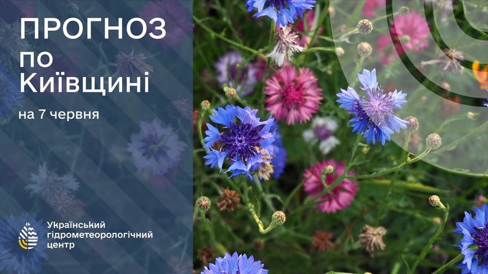 погода на Київщині 7 червня