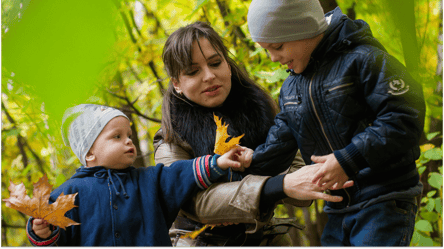 Дети от разных браков — кто получит наследство по закону - 290x160