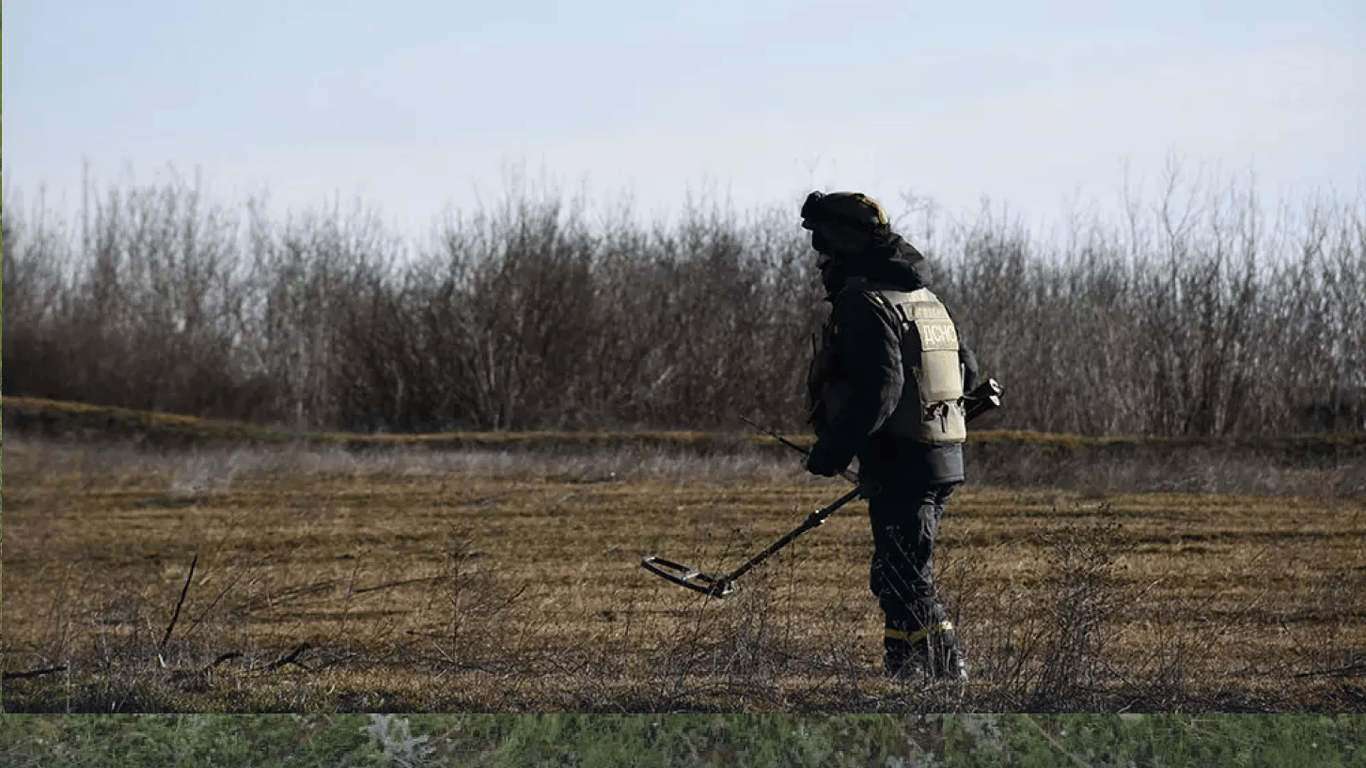На Николаевщине на противопехотной мине взорвались два человека