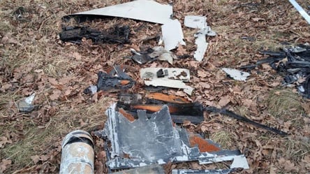 В Киевской области взрывотехники уничтожили обломки российского "шахеда": видео - 285x160