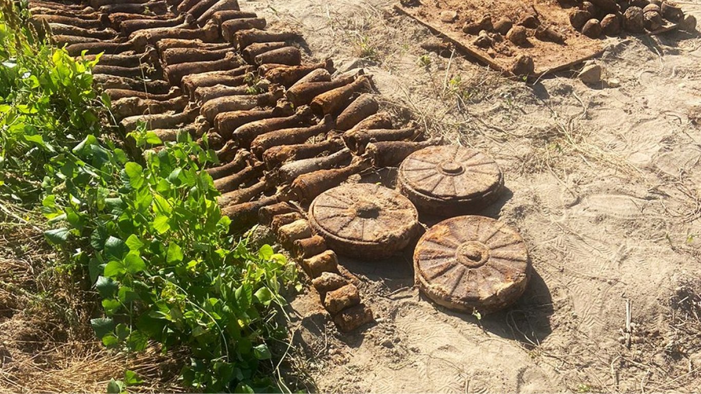 В Житомире женщина копала картошку и нашла арсенал оружия