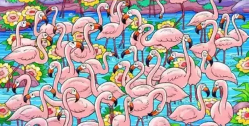 Знайдіть дівчину серед рожевих фламінго — з задачею впоралися лише 10% гравців - фото 1