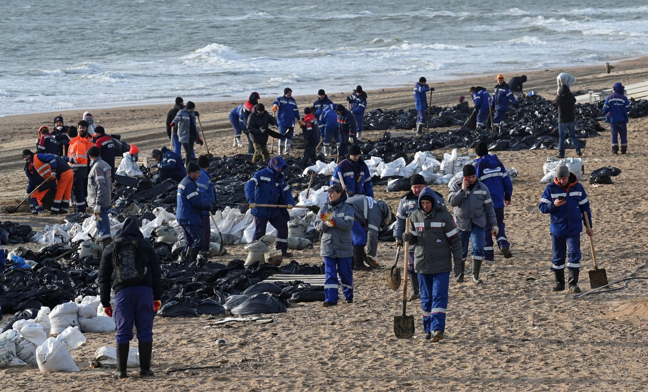смерть дельфінів в Керченській протоці