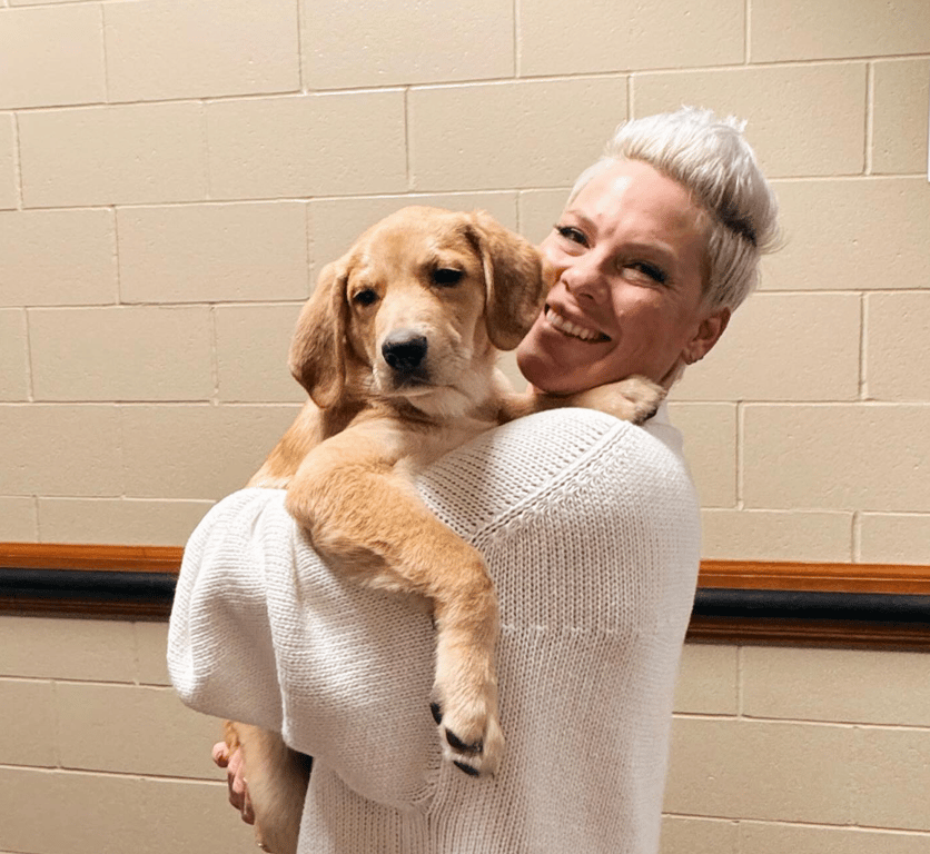 Яку стрижку часто робить співачка Pink