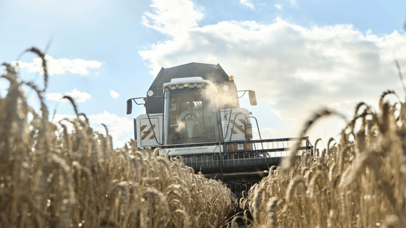 Ціни на зернові в Україні станом на 4 березня 2024 року