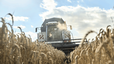 Цены на зерно в Украине — сколько стоит пшеница в начале марта - 285x160