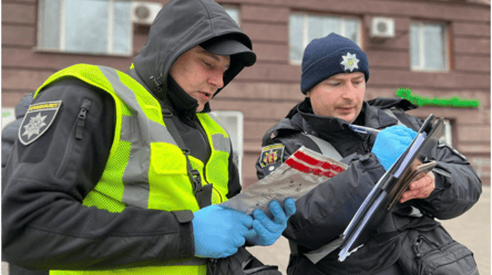 Побиття дівчинки в Києві — у прокуратурі заявили про покарання - 290x166