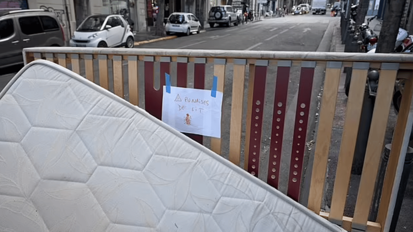 Во Франции массово выбрасывают матрасы и мебель из-за нашествия клопов