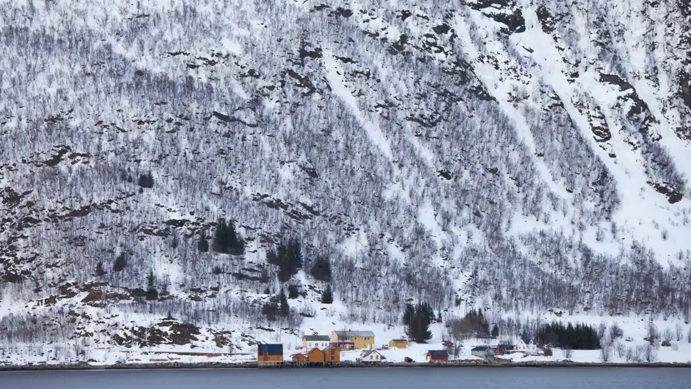 Из-за лавин в Норвегии власти объявили эвакуацию
